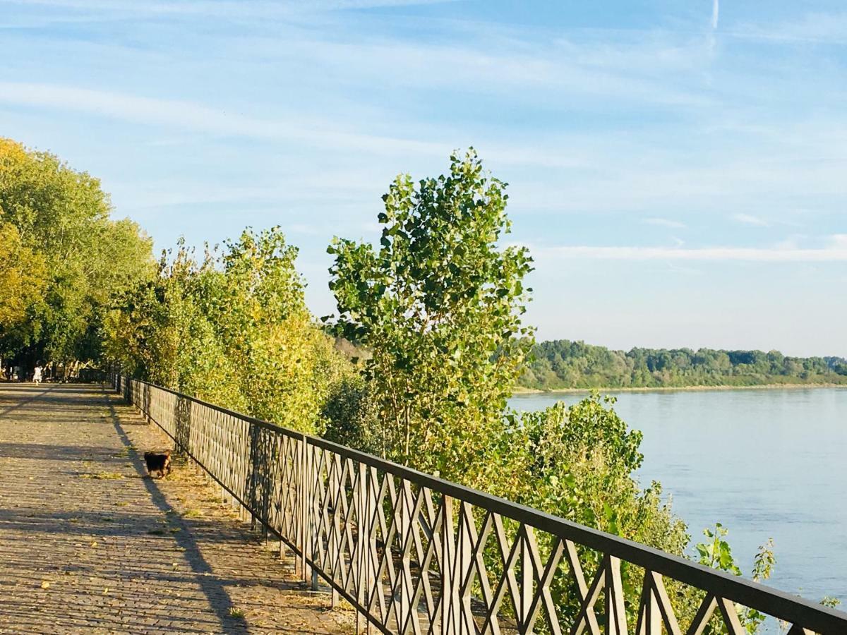 Il Contrabbasso Cremona Exteriér fotografie