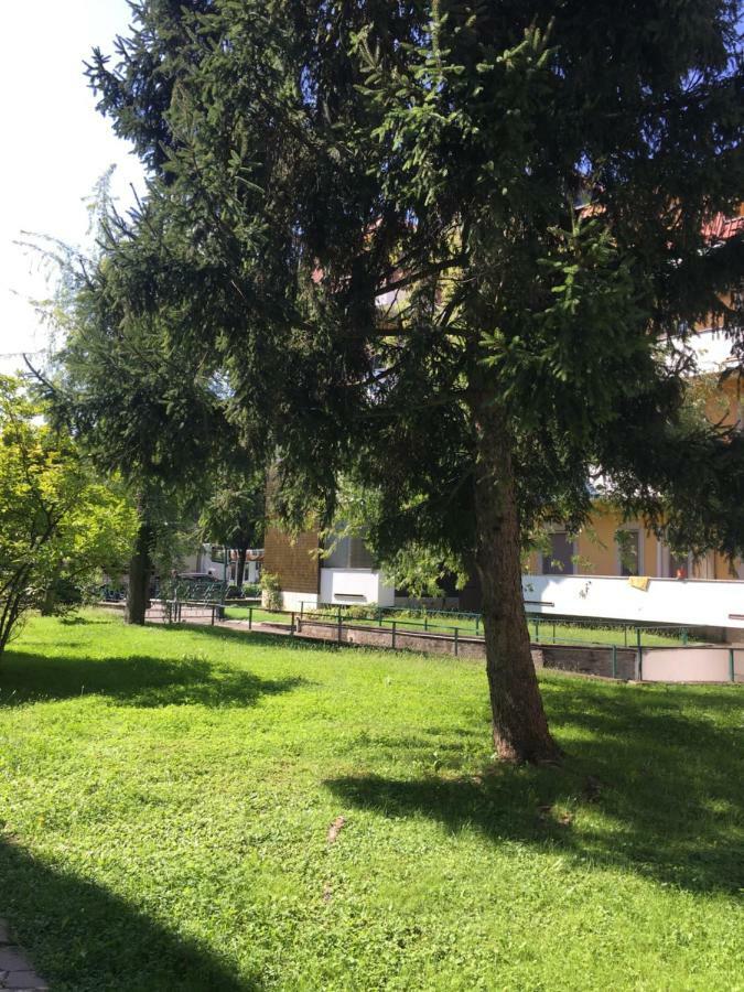 Il Contrabbasso Cremona Exteriér fotografie